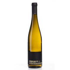 Sauvignon Blanc 0,75 - 2023 - pozdní sběr  - Vinařství Bílkovi